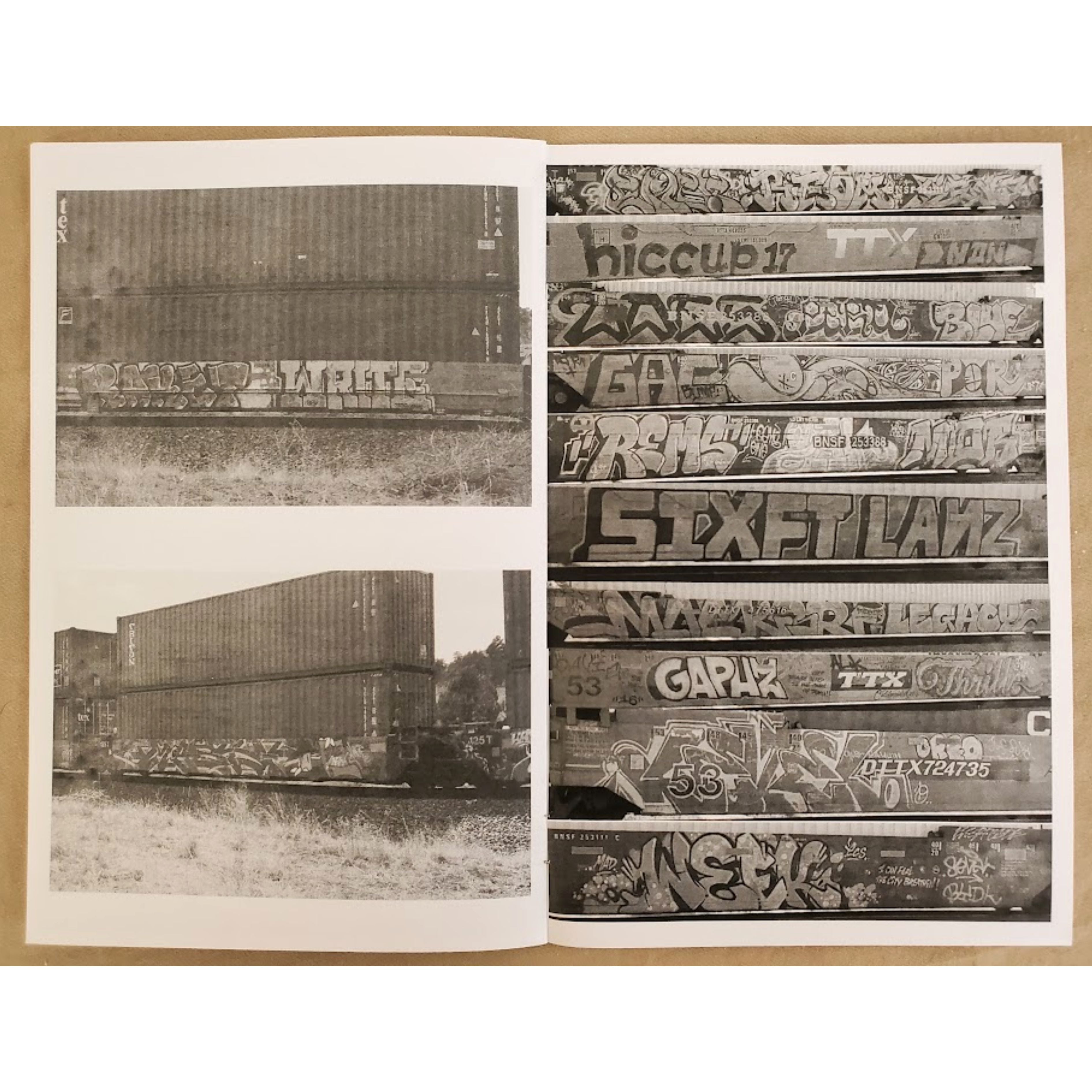 Freightal Attraction: A Small Photo Collection of American Train Graffiti