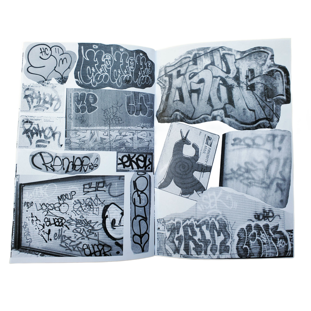 D.C.'s Most Wanted : A Washington D.C. Graffiti Zine